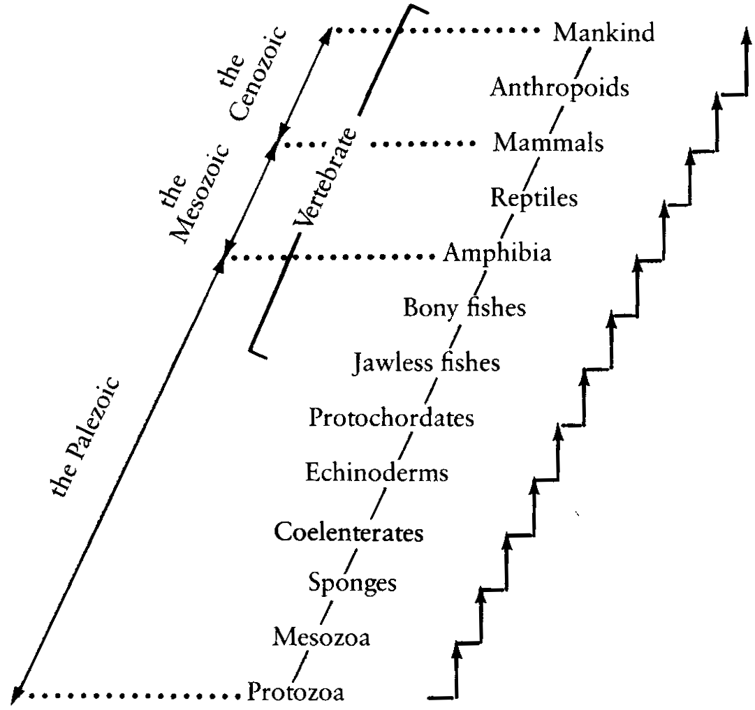fig11
